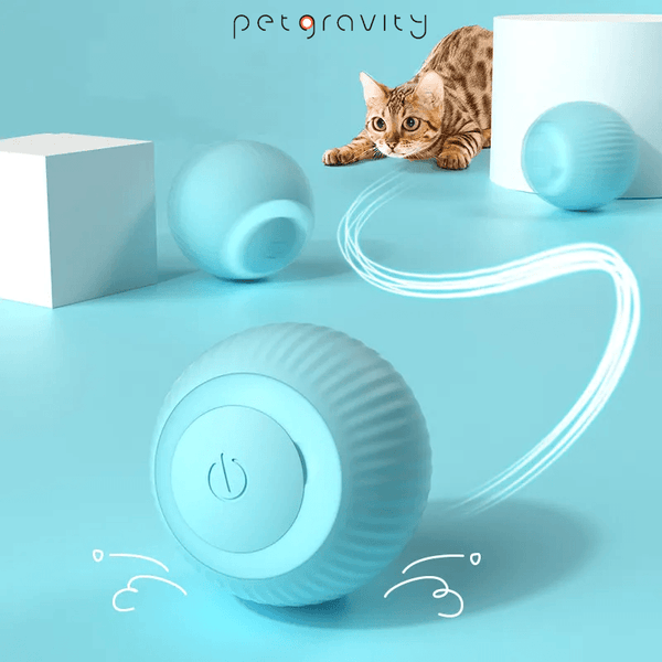 Bolinha Inteligente PetGravity© que se Move Sozinho - Conectta Web