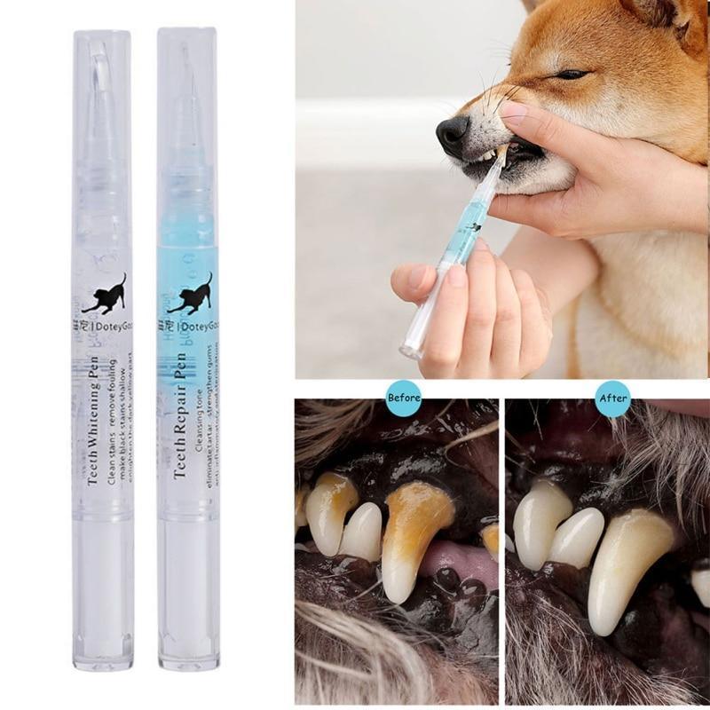 Caneta Limpadora de Dentes para Pets - Conectta Web