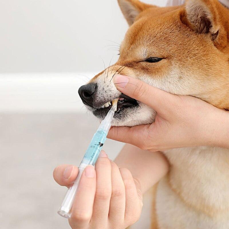 Caneta Limpadora de Dentes para Pets - Conectta Web