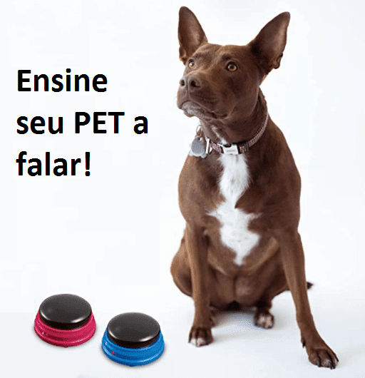 Ensine seu Pet a Falar - Botões Graváveis | Para Cachorro - Conectta Web